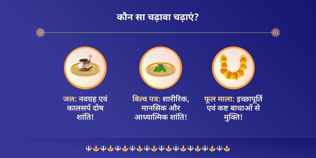 सोमवार कुंडली दोष निवारक त्र्यंबकेश्वर चढ़ावा
