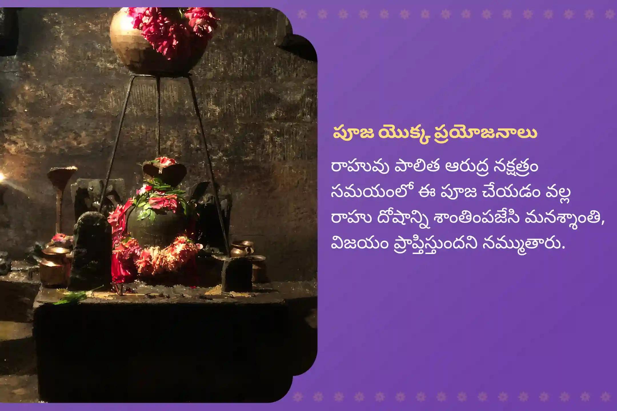 మానసిక స్థిరత్వం మరియు విజయం కోసం రాహువు నక్షత్రం స్పెషల్ రాహు శాంతి జపం మరియు హోమంలో పాల్గొనండి.