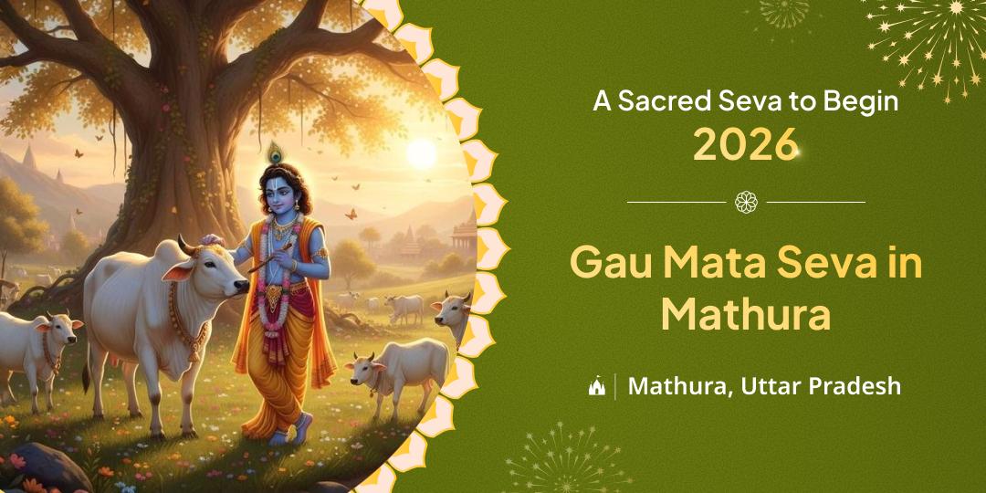 Perfom Gau Seva in Krishna’s land, Mathura - destroy the sins of past births and receive blessings for your family’s well-being.