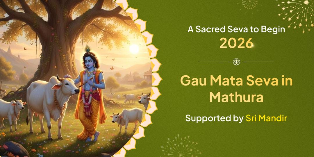 Gau Mata Seva in Mathura