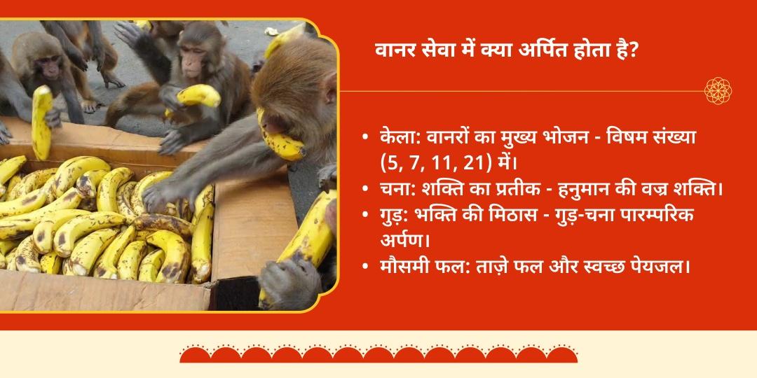 बड़ा मंगल अयोध्या हनुमत प्रिय वानर सेवा