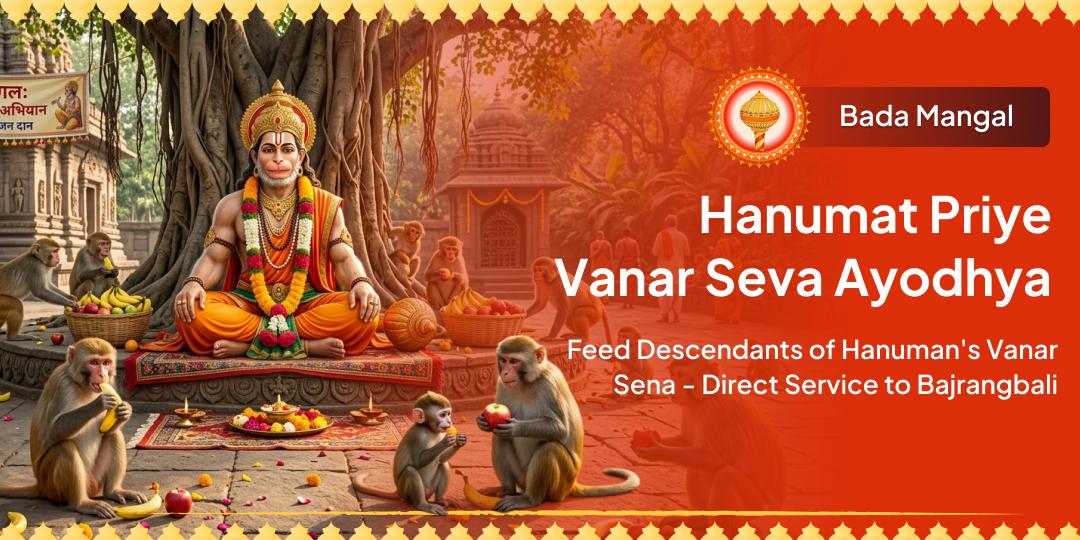 Bada Mangal - Hanumat Priya Vanar Seva in Ayodhya! Feeding Vanar Sena's Descendants = Direct Service to Bajrangbali!