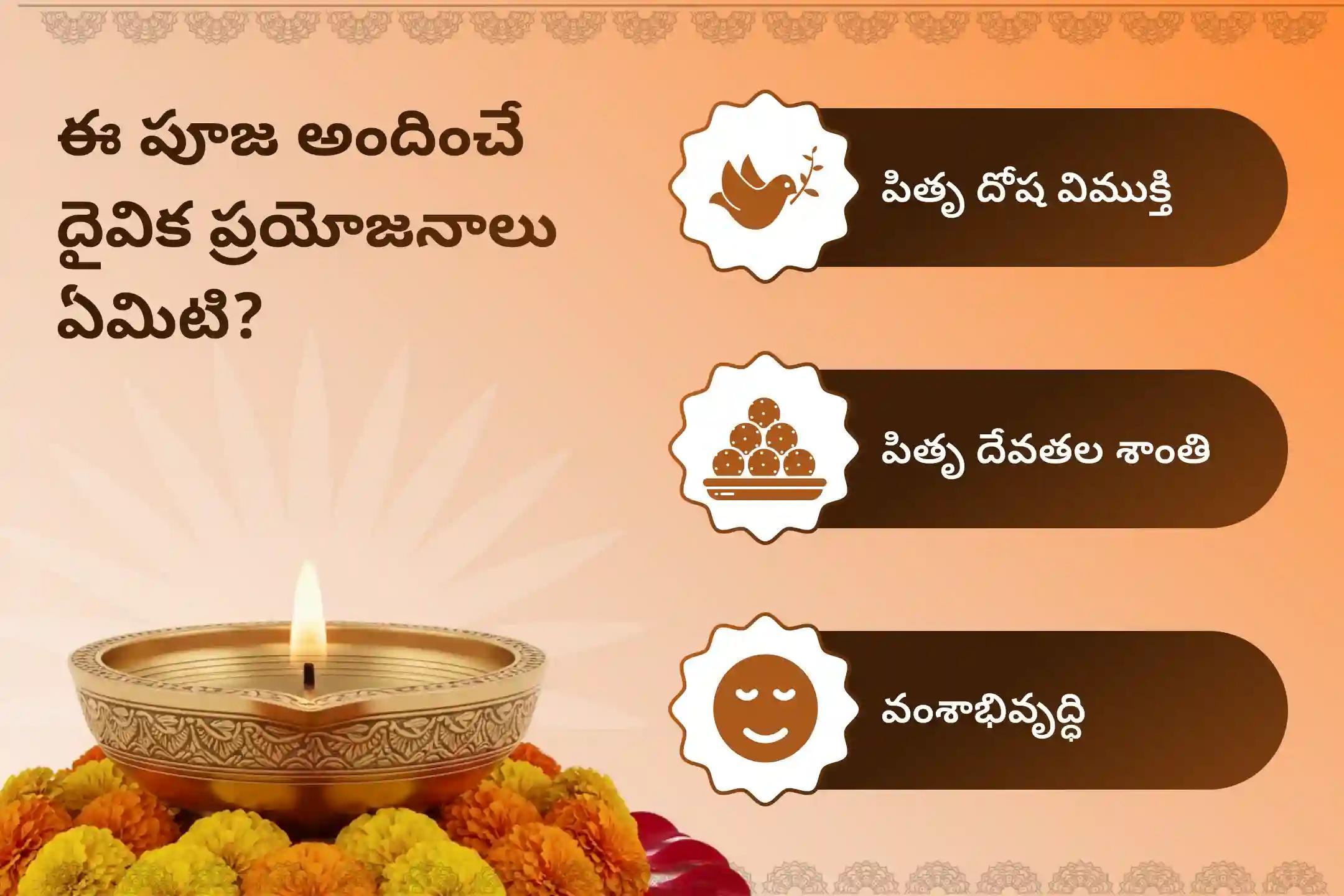 పితృల శాపాల నుండి విముక్తి అలాగే మరణించిన ఆత్మలకు శాంతి కోసం శని అమావాస్య పితృ శాంతి ప్రత్యేక నారాయణ బలి పూజ, త్రిపిండి శ్రాద్ధం, పితృ దోష శాంతి పూజ మరియు తిల హోమంలో పాల్గొనండి.