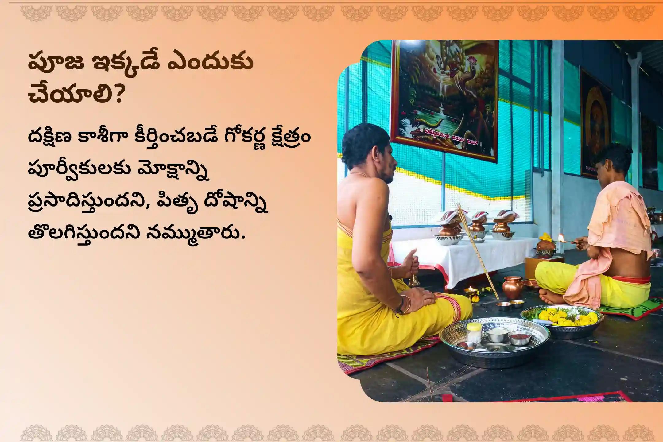 పితృల శాపాల నుండి విముక్తి అలాగే మరణించిన ఆత్మలకు శాంతి కోసం శని అమావాస్య పితృ శాంతి ప్రత్యేక నారాయణ బలి పూజ, త్రిపిండి శ్రాద్ధం, పితృ దోష శాంతి పూజ మరియు తిల హోమంలో పాల్గొనండి.