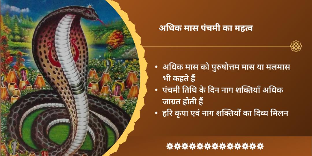 अधिक मास पंचमी सर्प दोष शांति 2 तीर्थ दुग्ध अभिषेक 